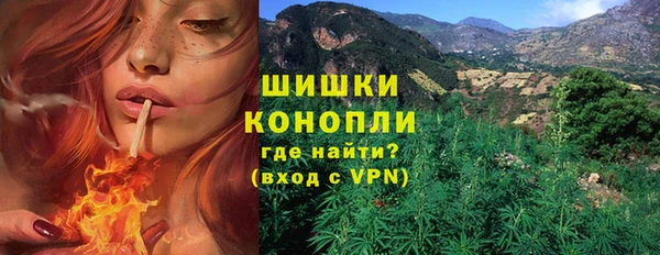 сатива Беломорск