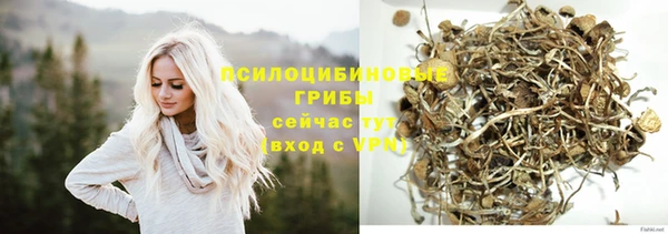сатива Беломорск