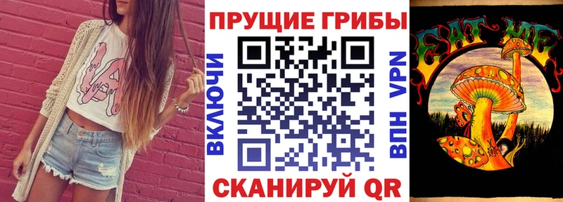 Галлюциногенные грибы мицелий  закладка  это наркотические препараты  Черноголовка 
