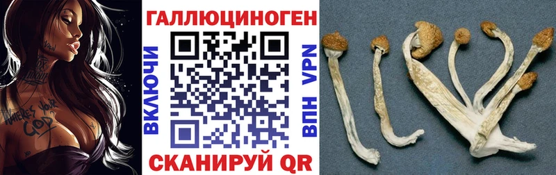 Псилоцибиновые грибы GOLDEN TEACHER Черноголовка